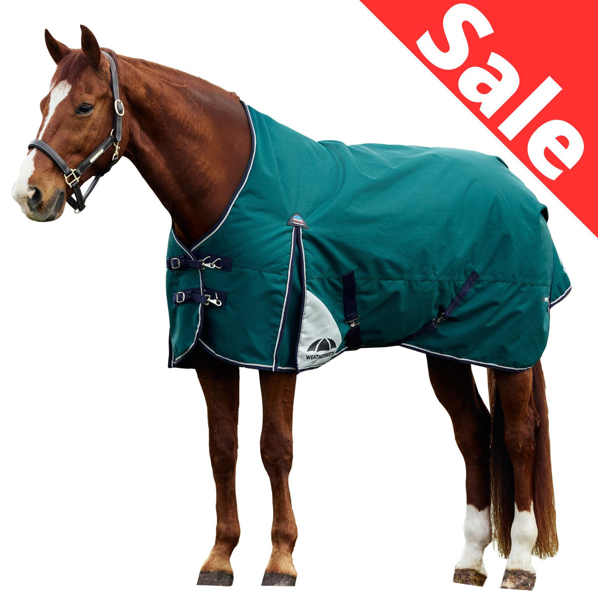 Weatherbeeta ComFiTec Plus Dynamic Turnout Standard 0g Forest Green/Navy