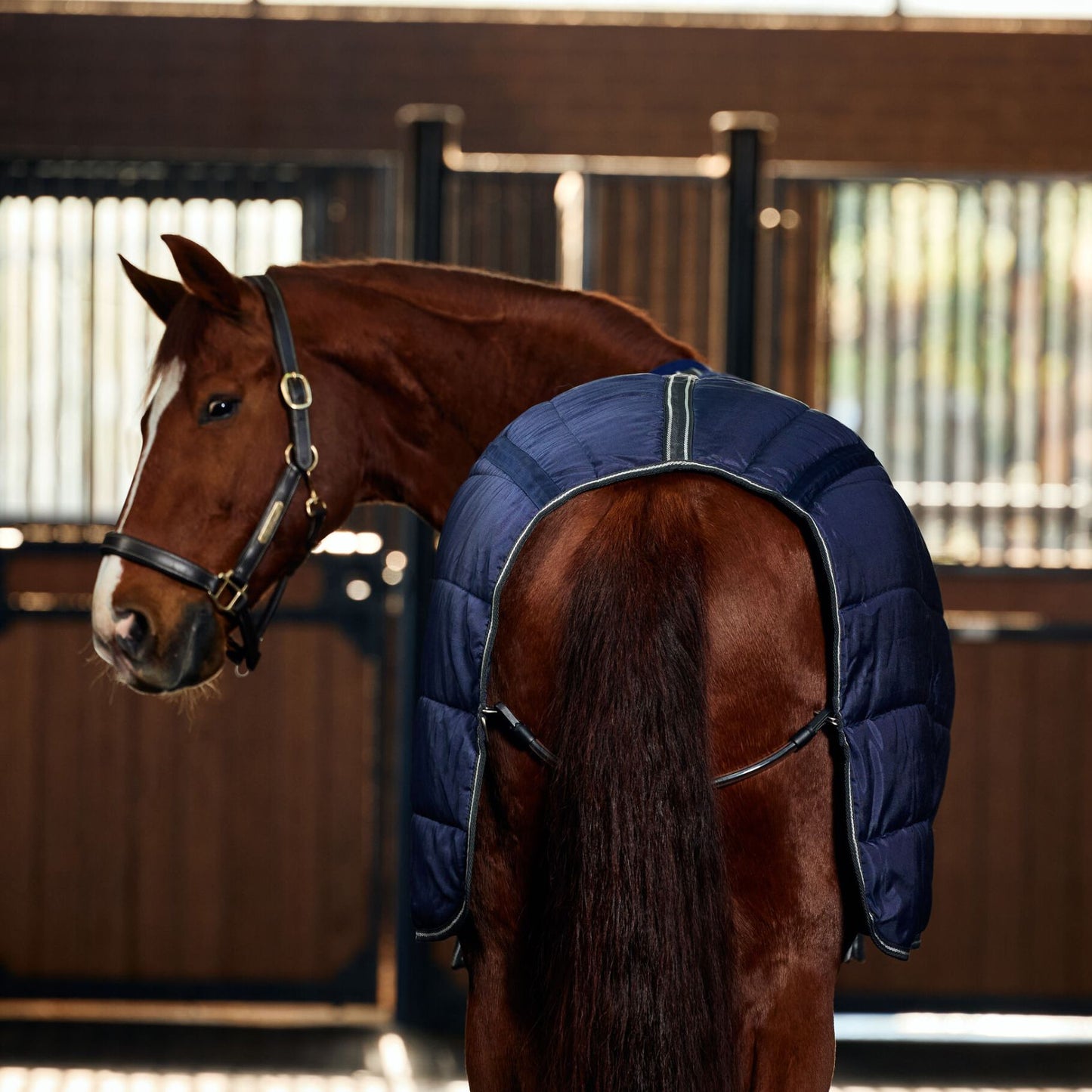 Weatherbeeta ComFiTec PP Channel Quilt Stable Detach-A-Neck 220g Navy/Charcoal