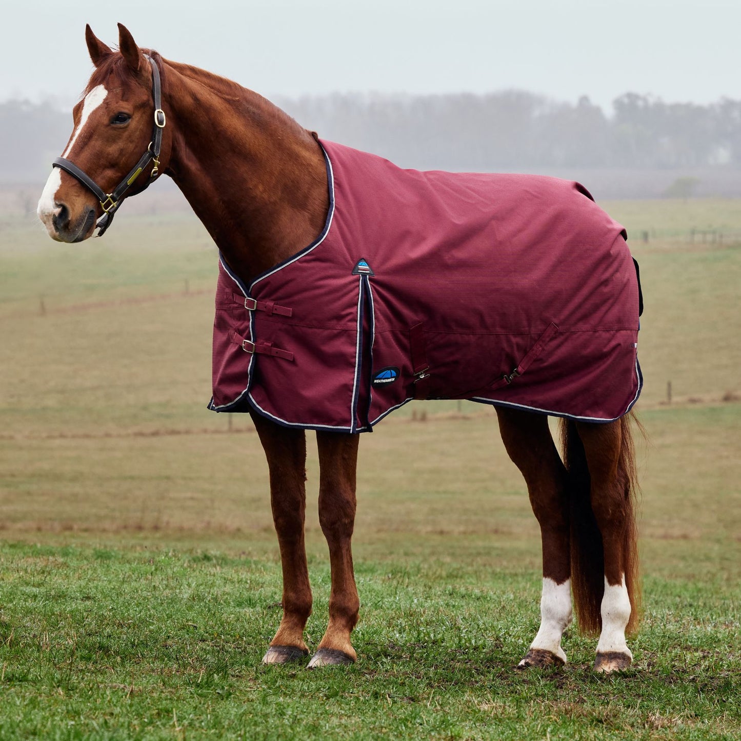 Weatherbeeta ComFiTec Prelim Turnout 0g