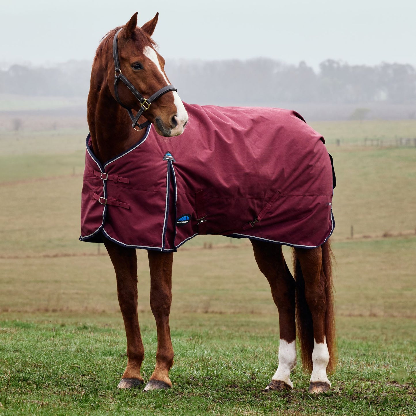 Weatherbeeta ComFiTec Prelim Turnout 0g