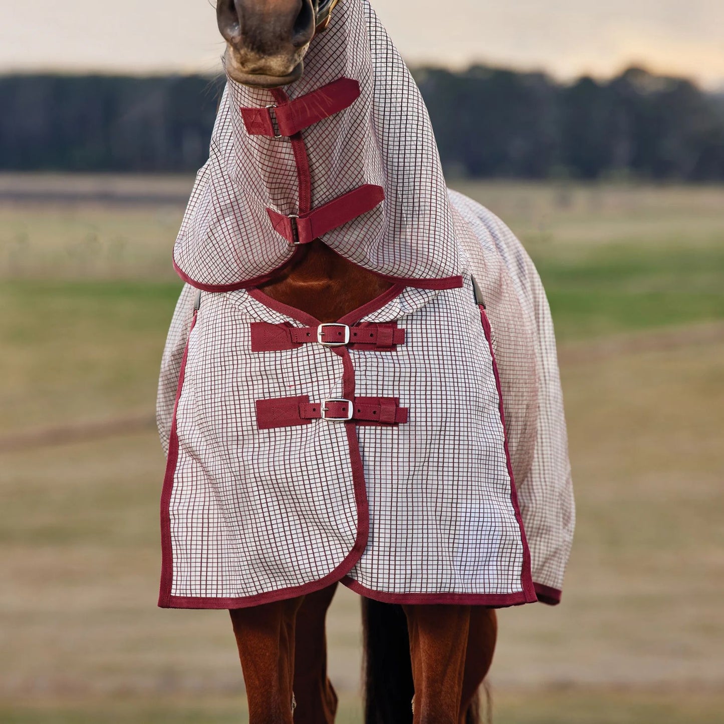 Weatherbeeta ComFiTec Ripshield Fly Sheet Detach-A-Neck White/Burgundy