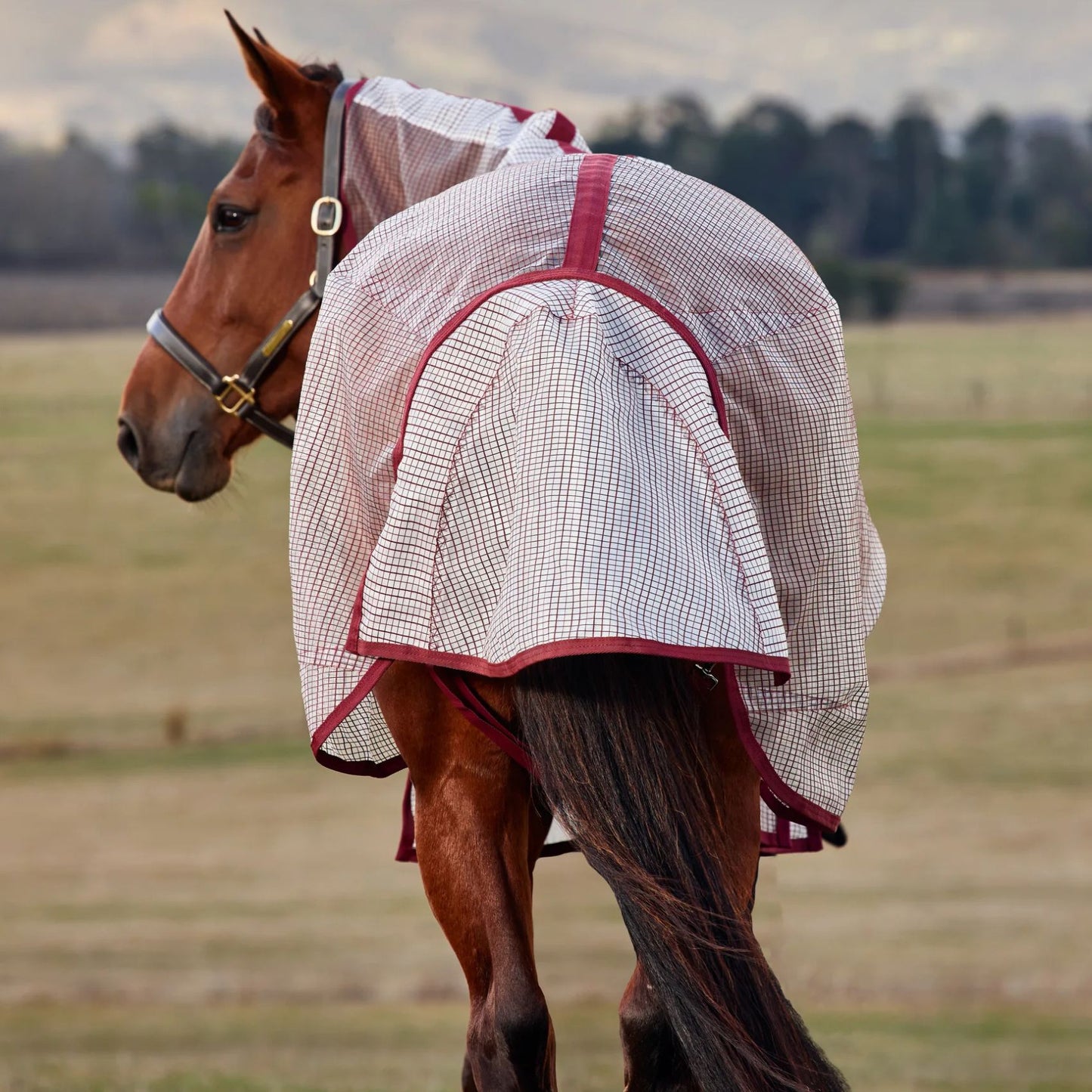 Weatherbeeta ComFiTec Ripshield Fly Sheet Detach-A-Neck White/Burgundy