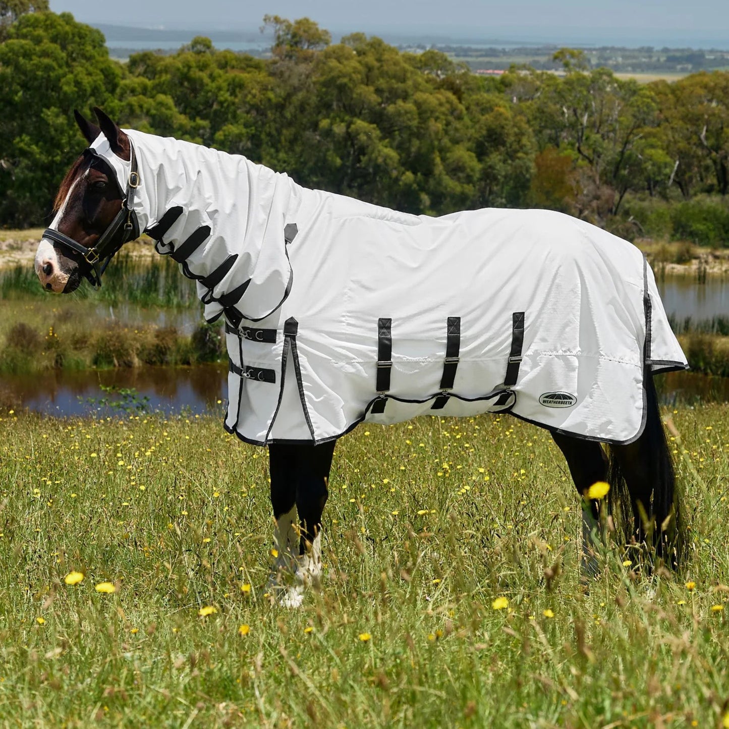 Weatherbeeta ComFiTec Sweet Itch Shield Fly Sheet Combo White/Charcoal