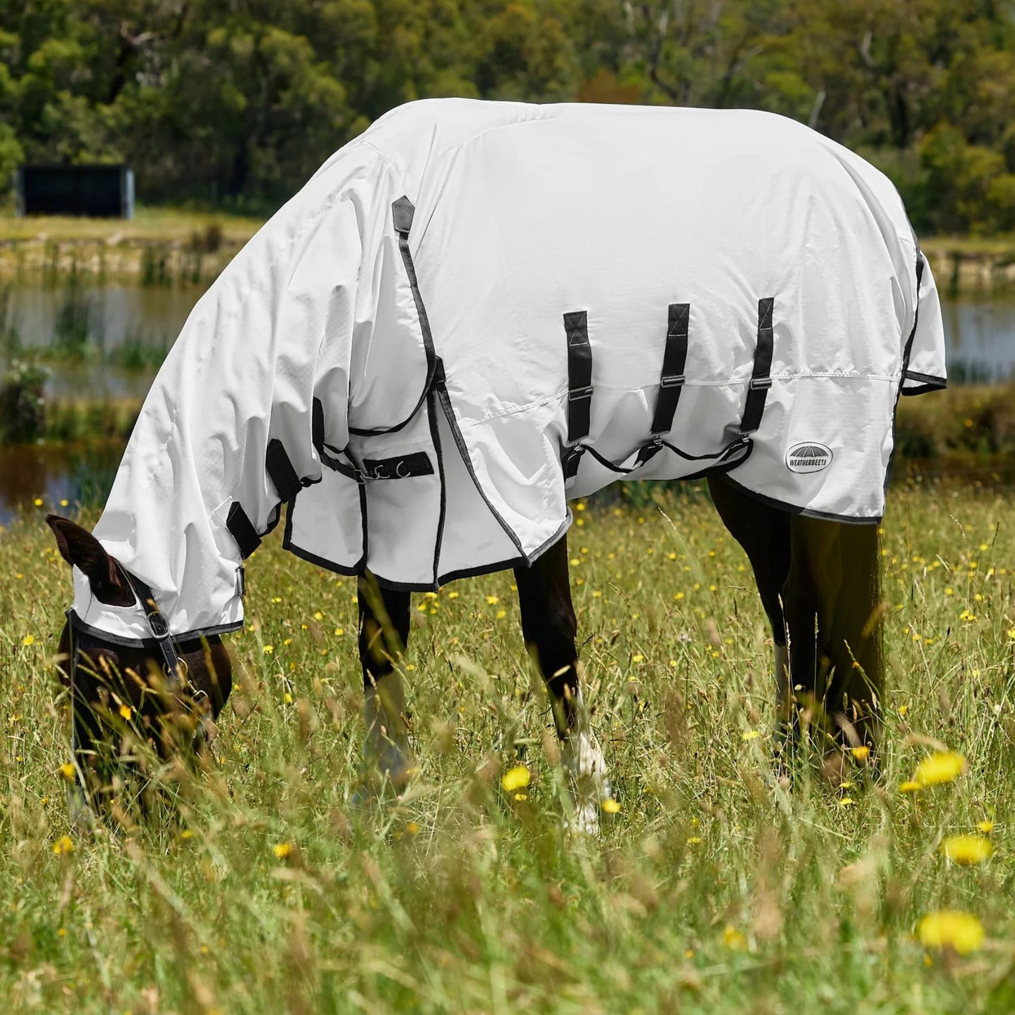 Weatherbeeta ComFiTec Sweet Itch Shield Fly Sheet Combo White/Charcoal
