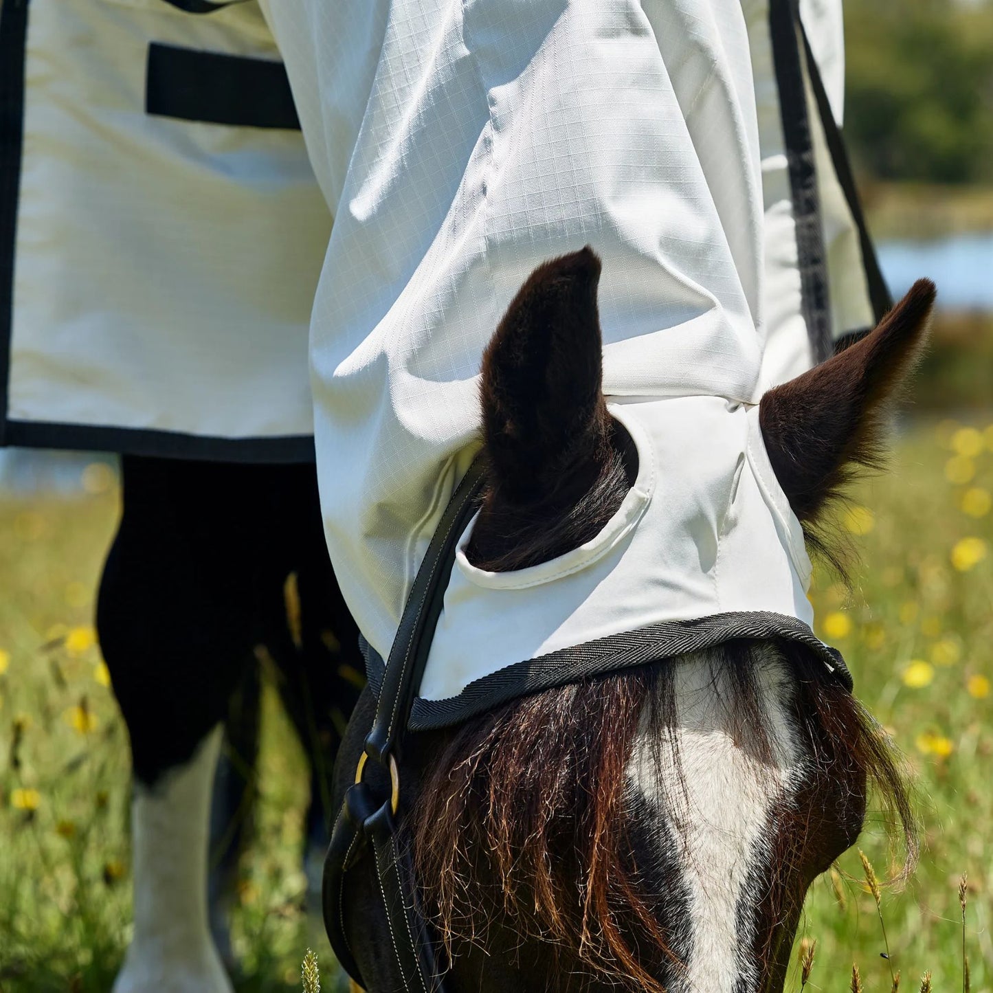 Weatherbeeta ComFiTec Sweet Itch Shield Fly Sheet Combo White/Charcoal