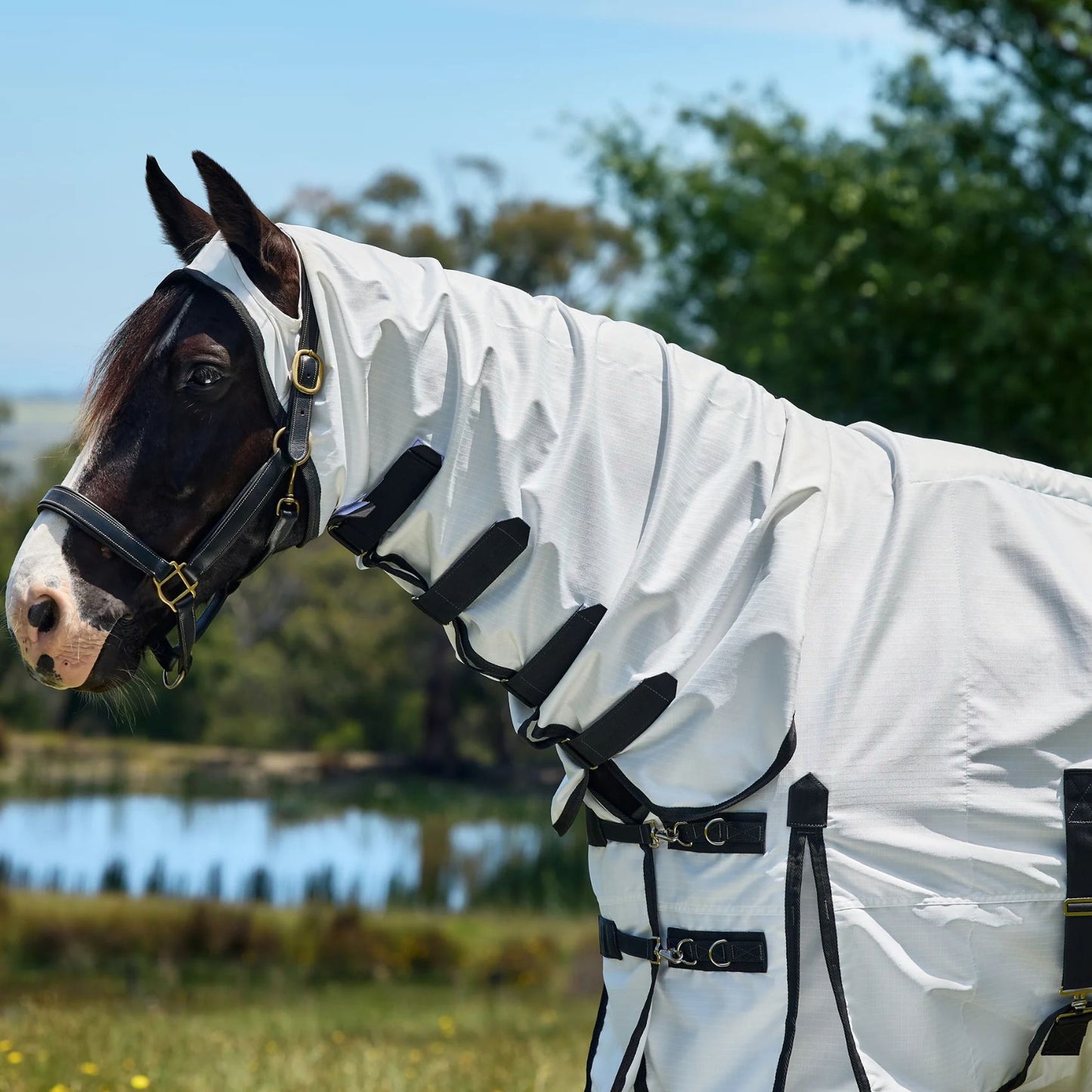 Weatherbeeta ComFiTec Sweet Itch Shield Fly Sheet Combo White/Charcoal