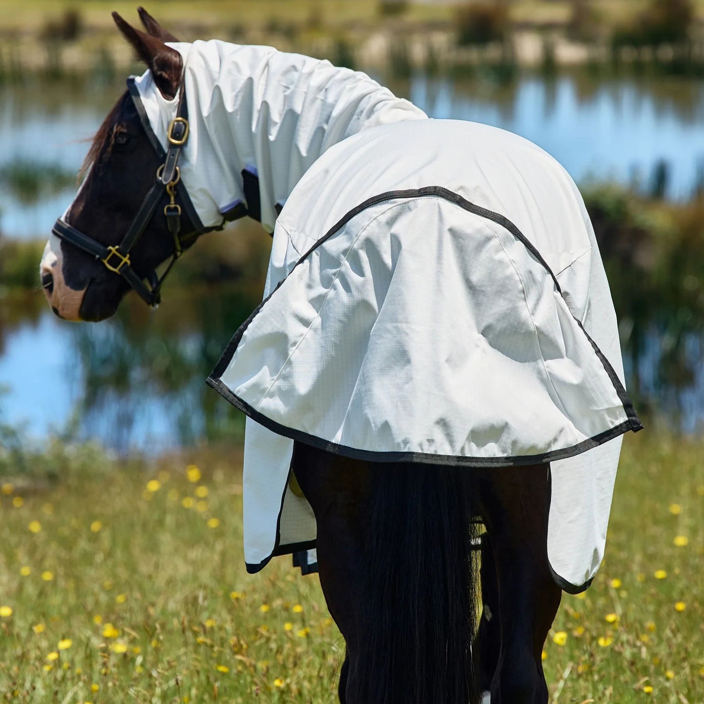 Weatherbeeta ComFiTec Sweet Itch Shield Fly Sheet Combo White/Charcoal