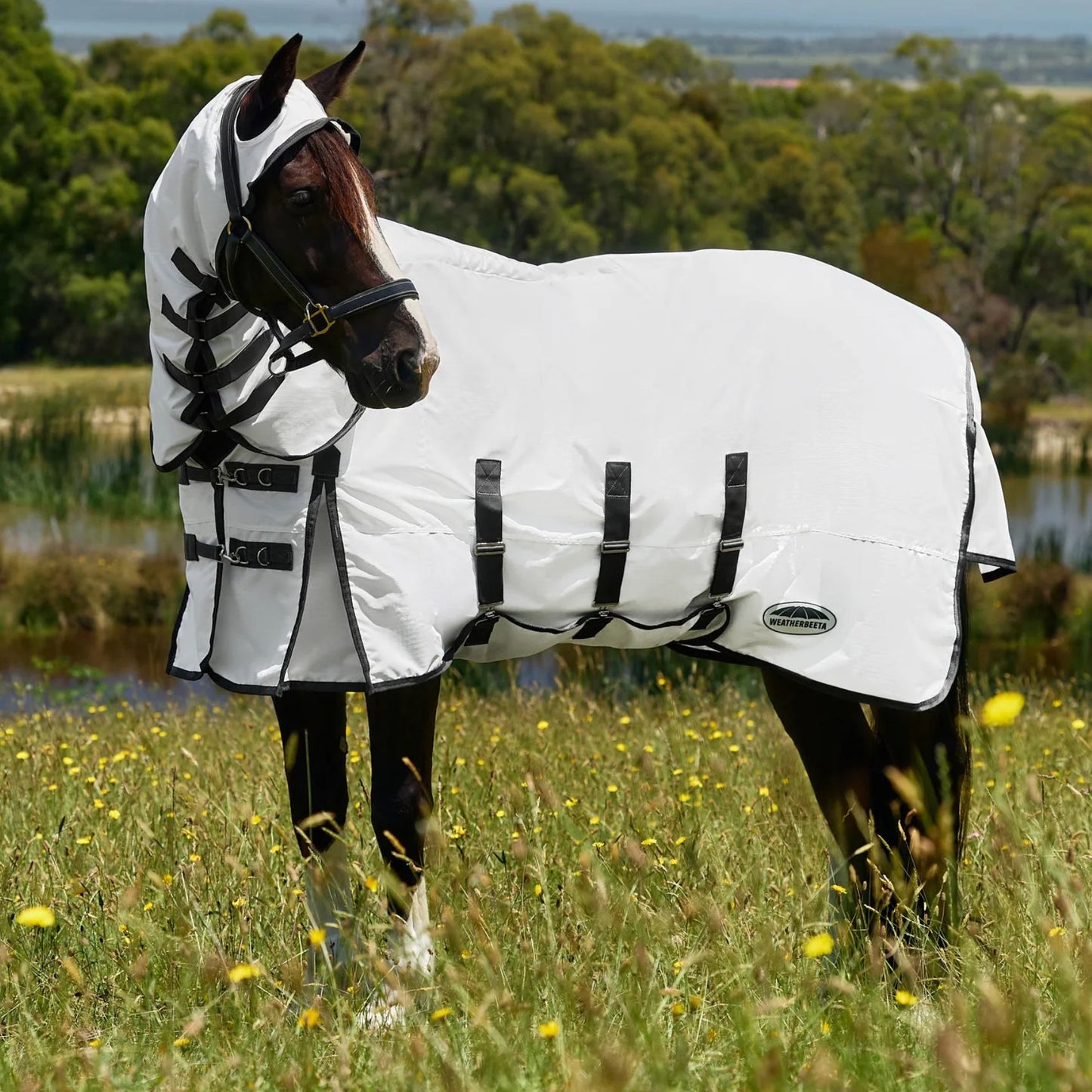 Weatherbeeta ComFiTec Sweet Itch Shield Fly Sheet Combo White/Charcoal