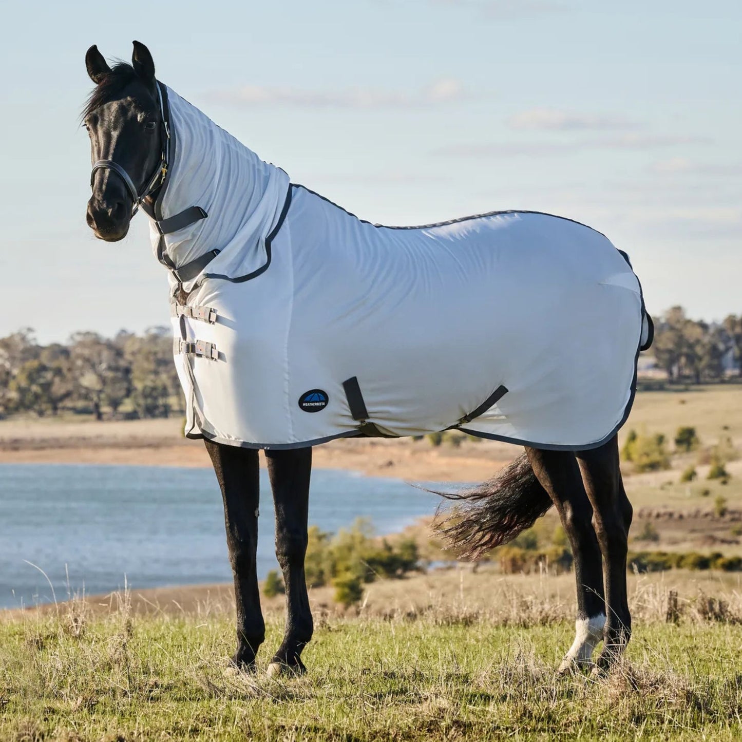 Weatherbeeta ComFiTec Tyro Fly Sheet Combo White/Charcoal