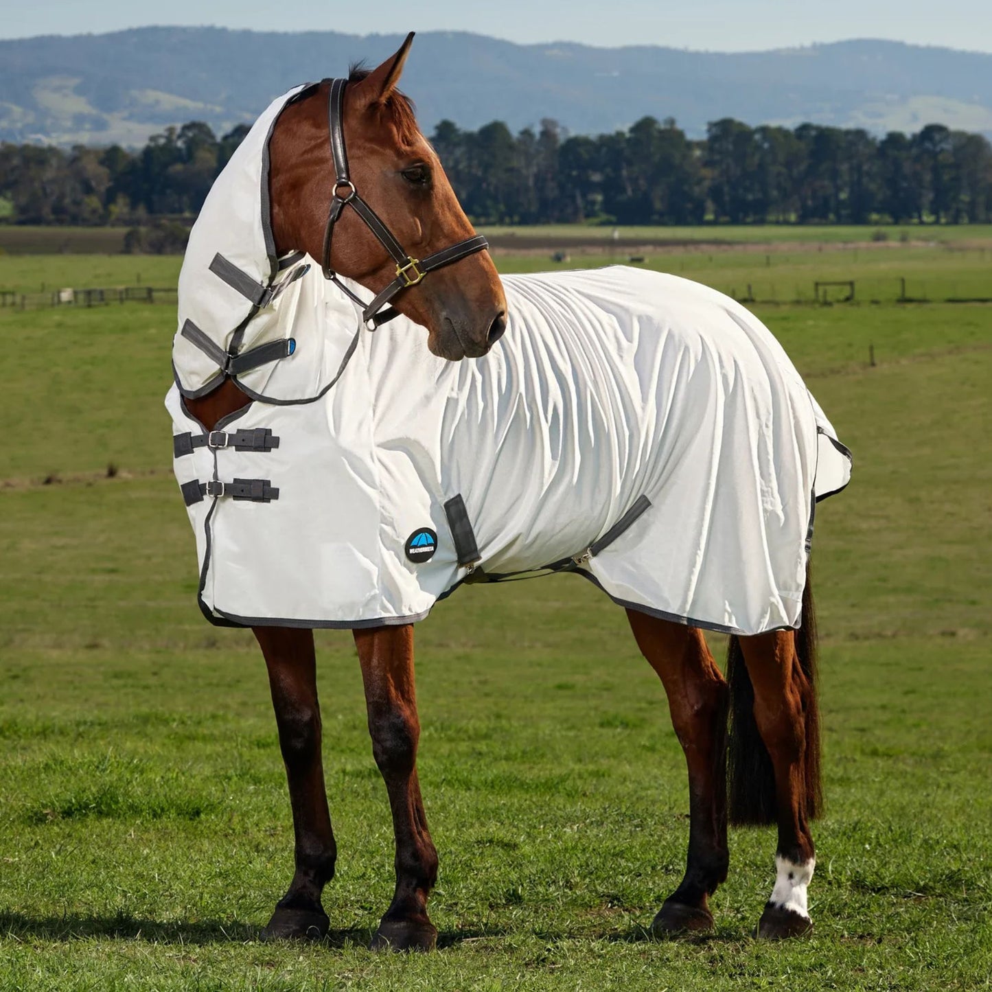 Weatherbeeta ComFiTec Tyro Fly Sheet Combo White/Charcoal