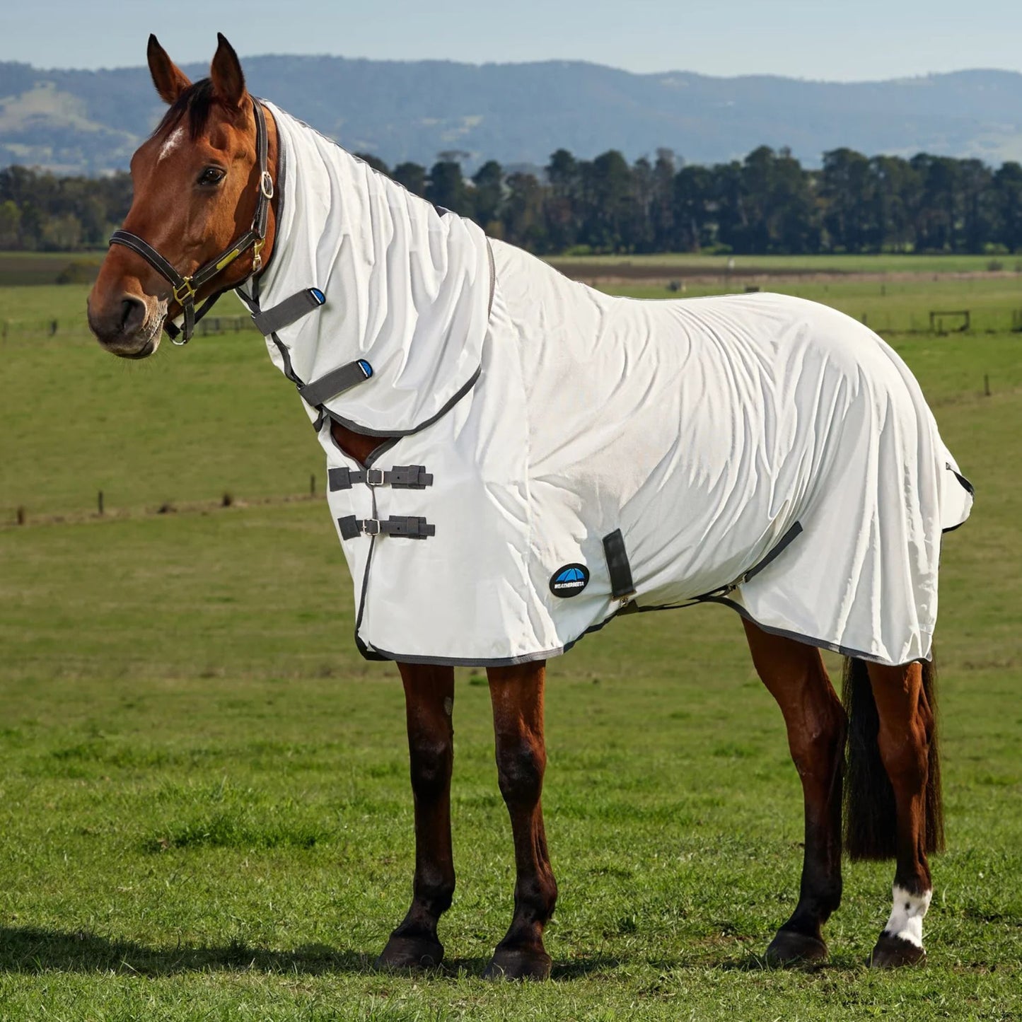 Weatherbeeta ComFiTec Tyro Fly Sheet Combo White/Charcoal