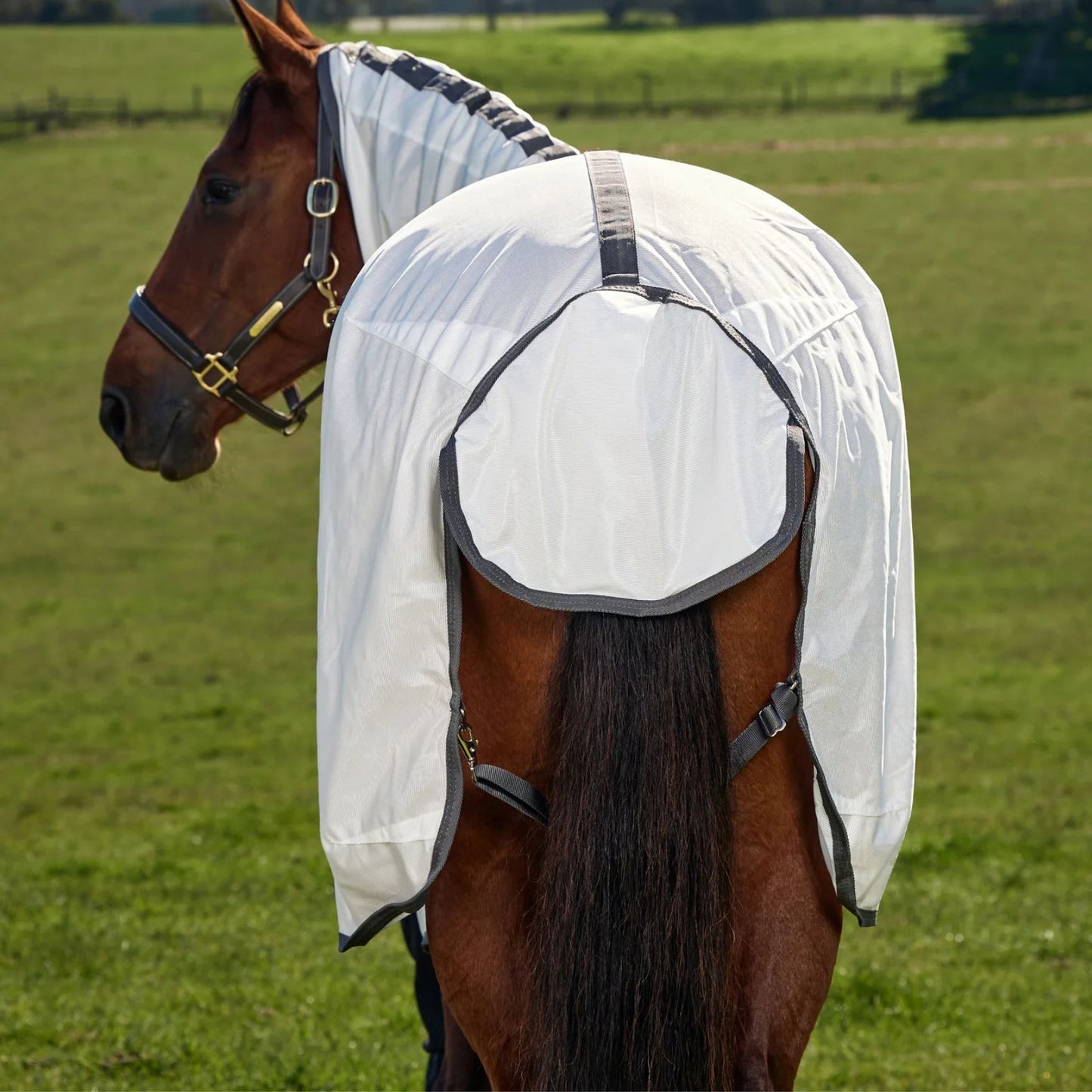 Weatherbeeta ComFiTec Tyro Fly Sheet Combo White/Charcoal
