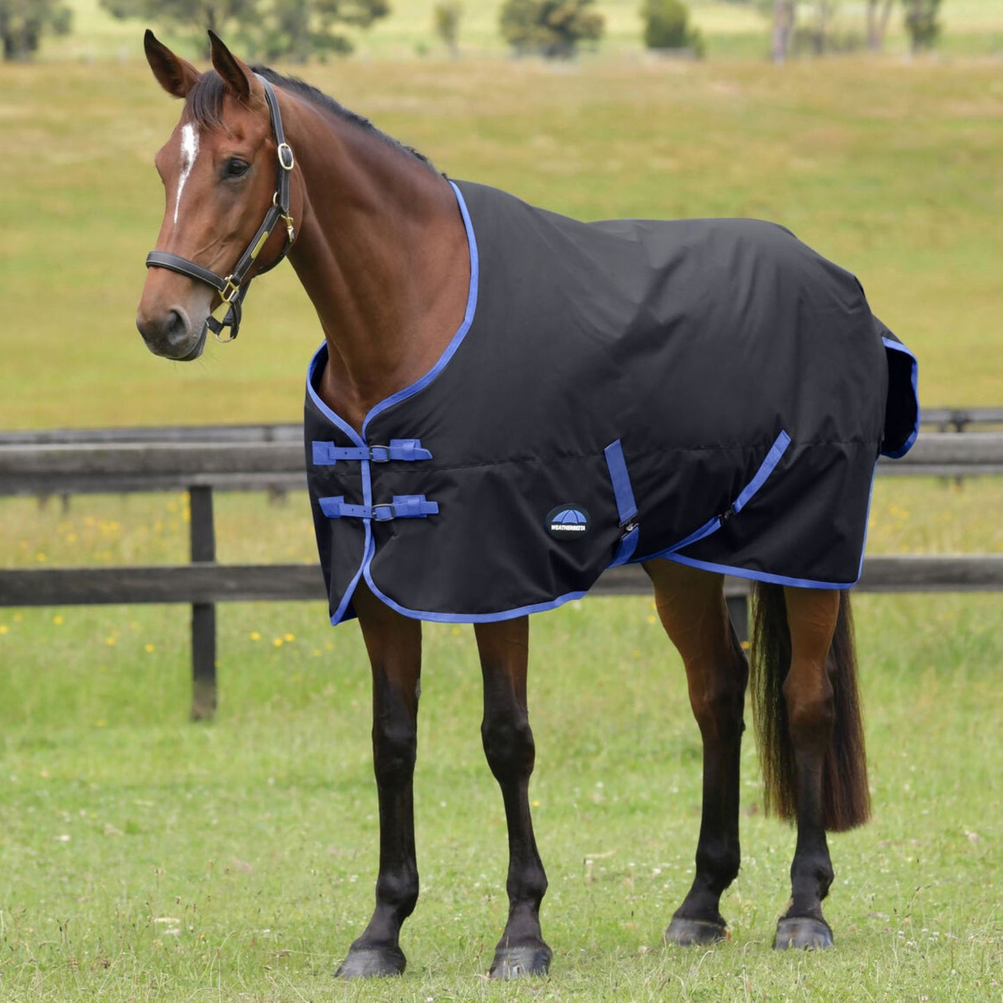 Weatherbeeta ComFiTec Tyro Turnout 220g