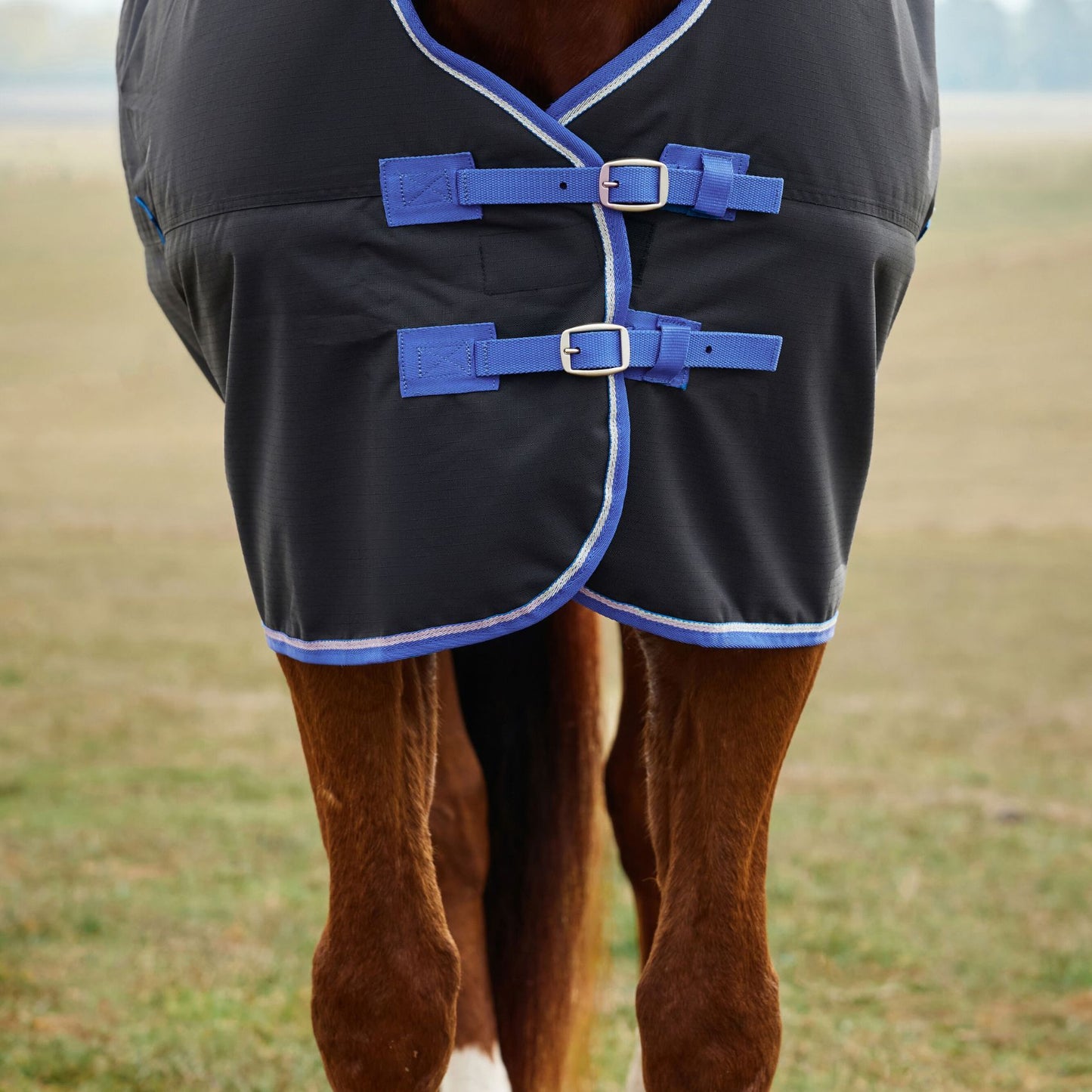 Weatherbeeta ComFiTec Tyro Turnout 220g