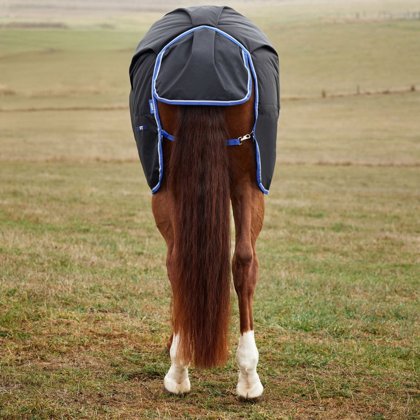 Weatherbeeta ComFiTec Tyro Turnout 220g