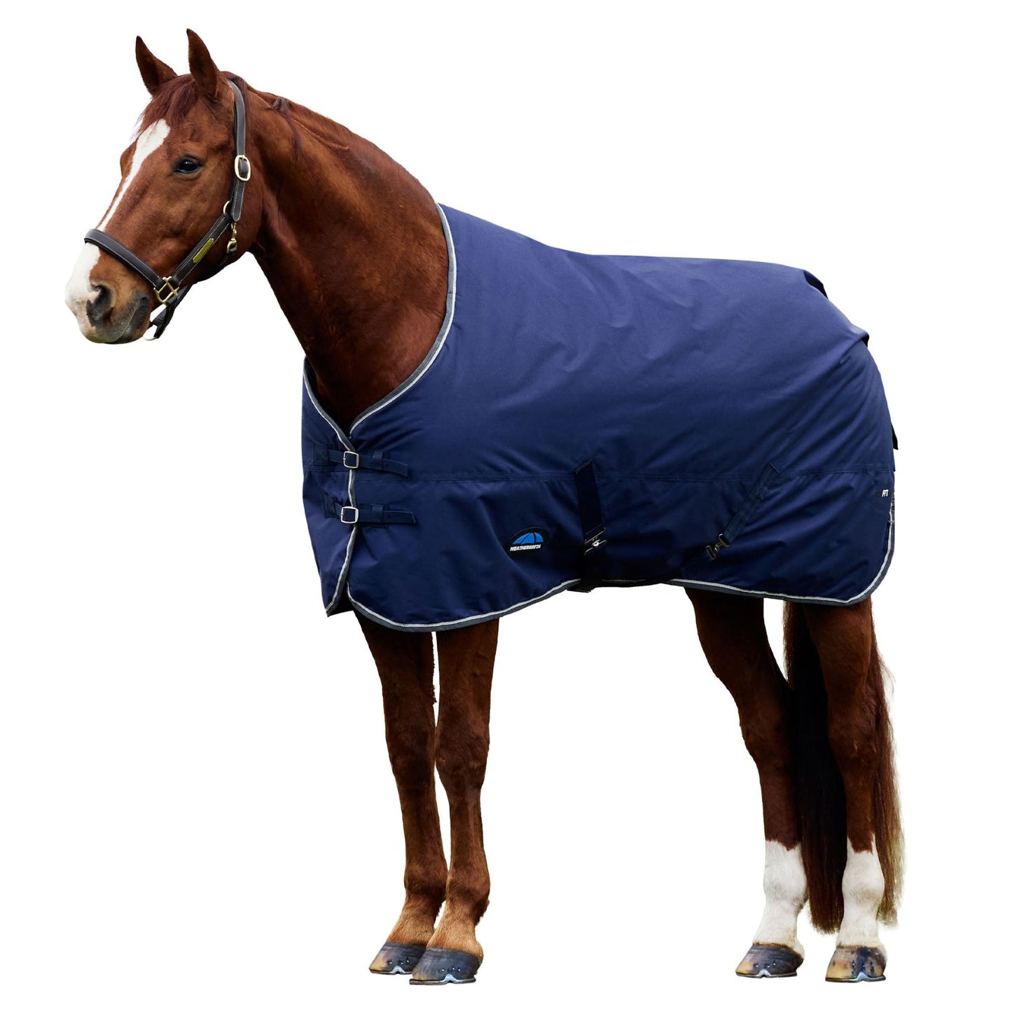 Weatherbeeta ComFiTec Tyro Turnout 220g