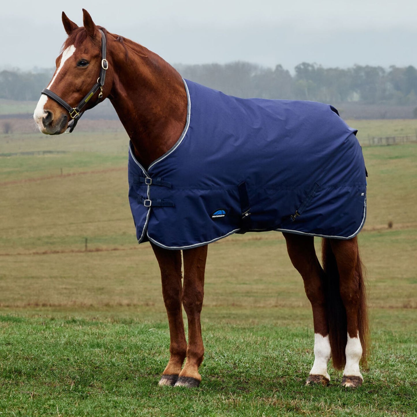 Weatherbeeta ComFiTec Tyro Turnout 220g