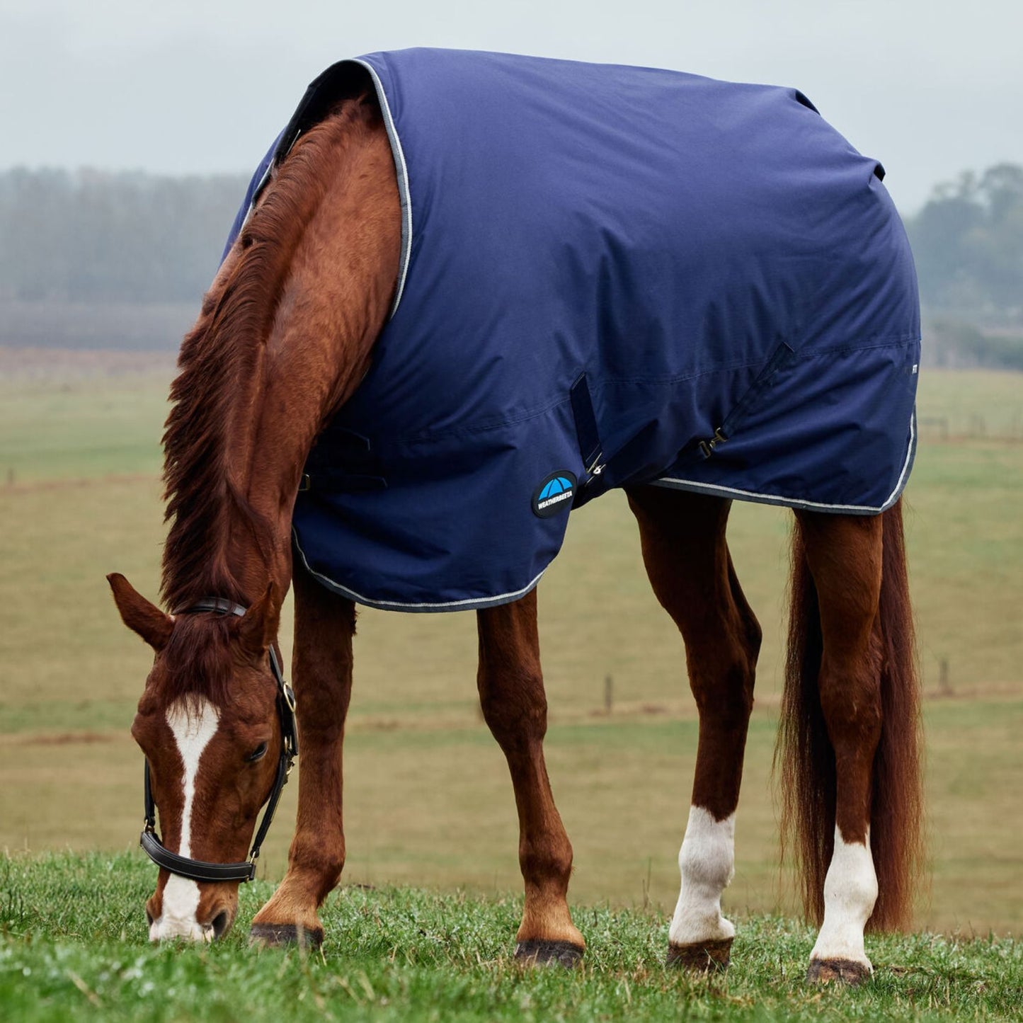 Weatherbeeta ComFiTec Tyro Turnout 220g