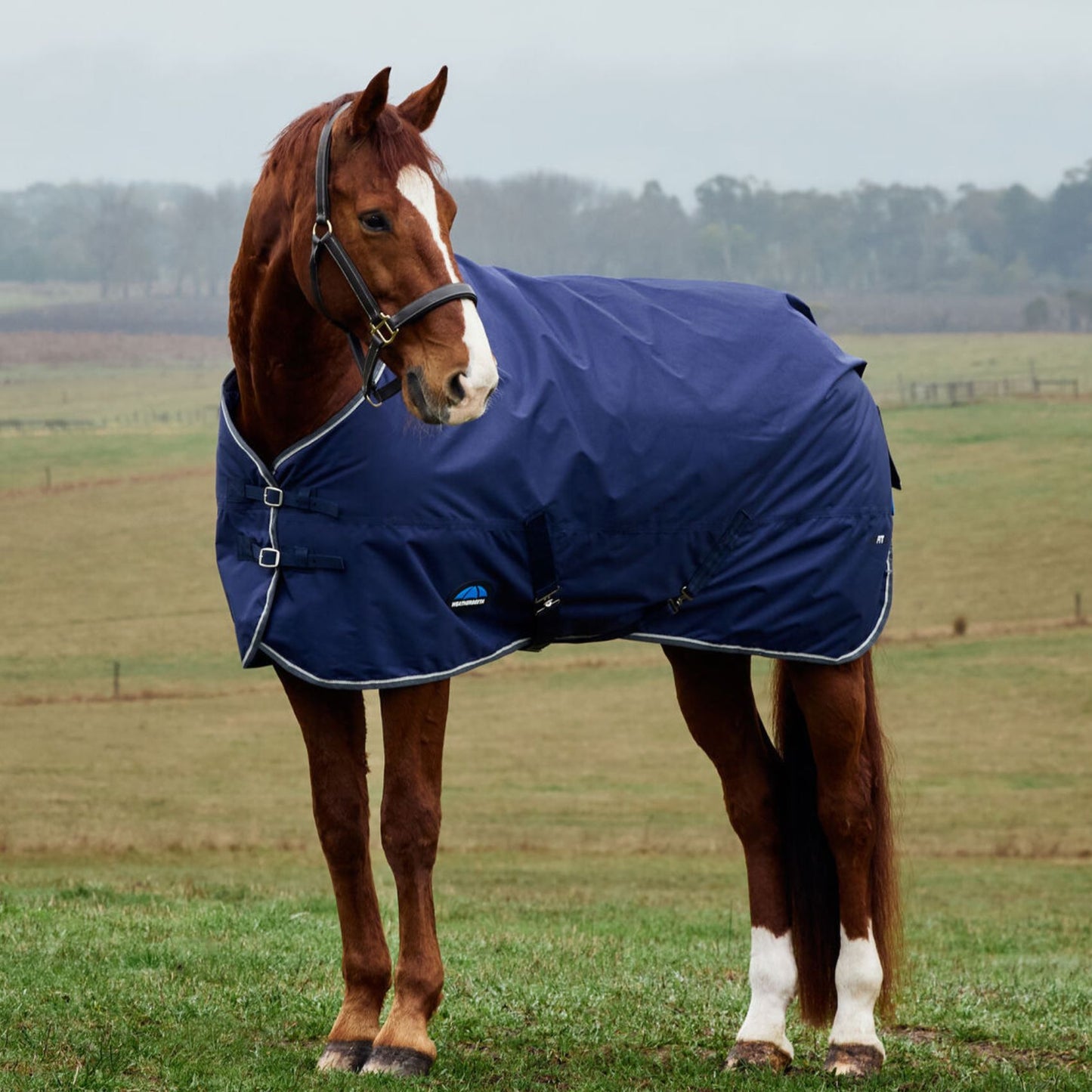 Weatherbeeta ComFiTec Tyro Turnout 220g