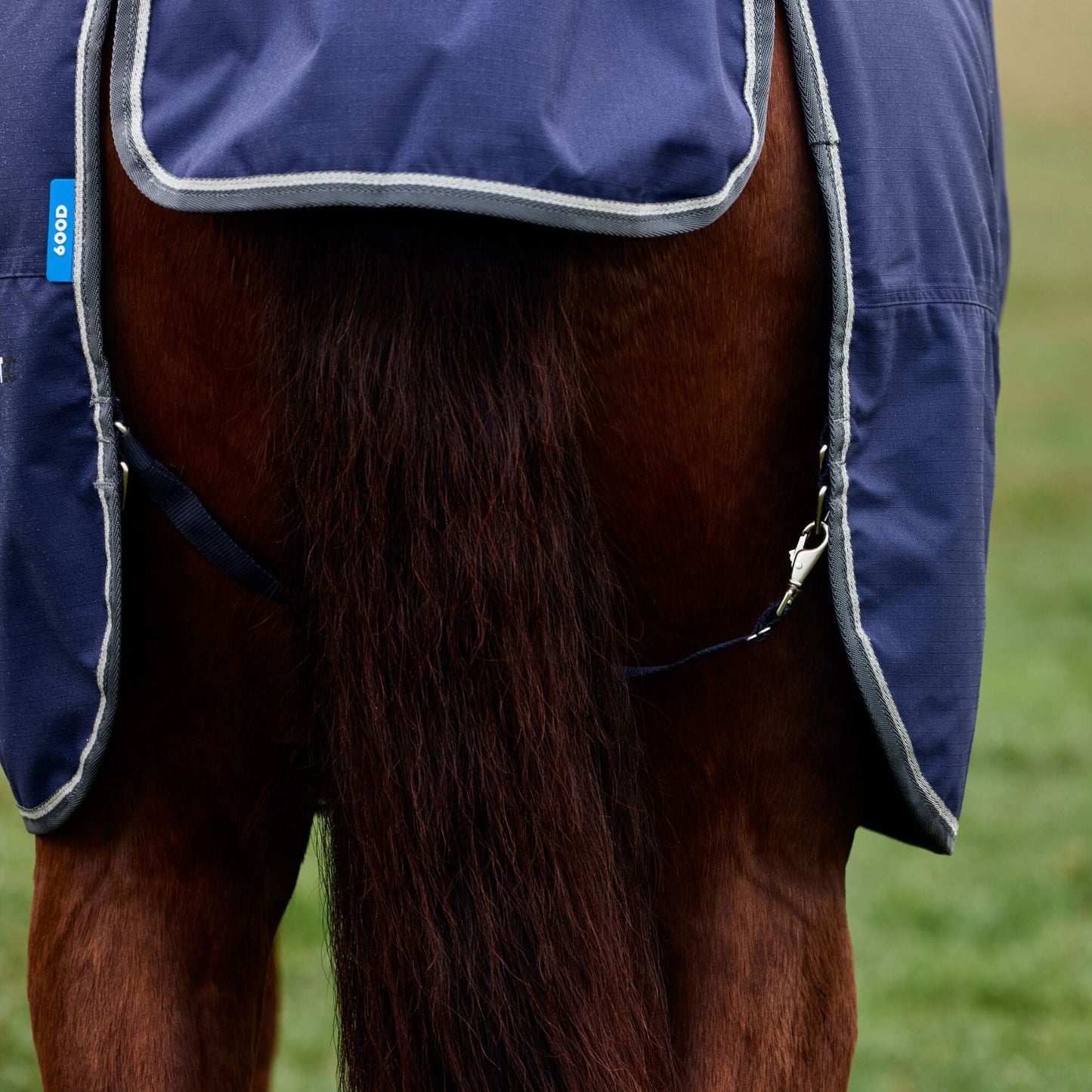 Weatherbeeta ComFiTec Tyro Turnout 220g