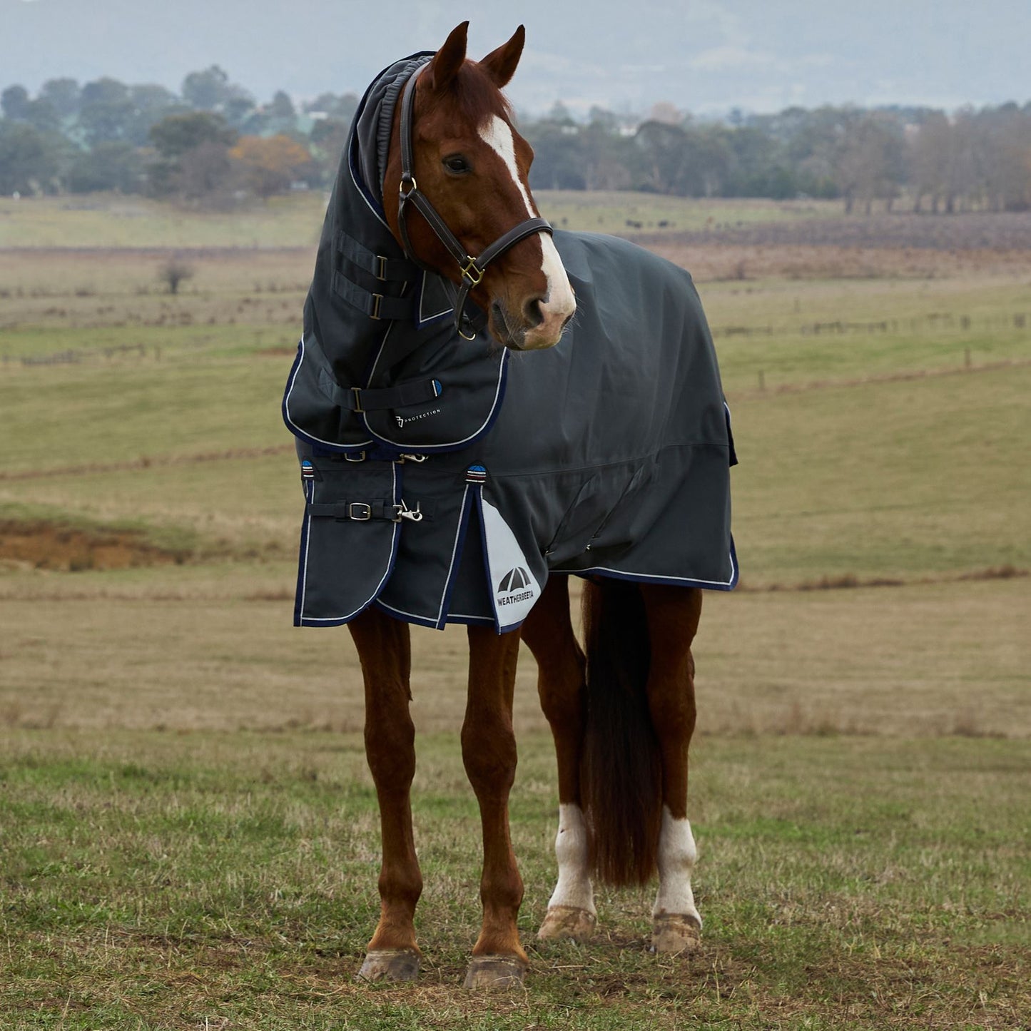 Weatherbeeta ComFiTec Ultra Turnout Detach-A-Neck 100g Charcoal