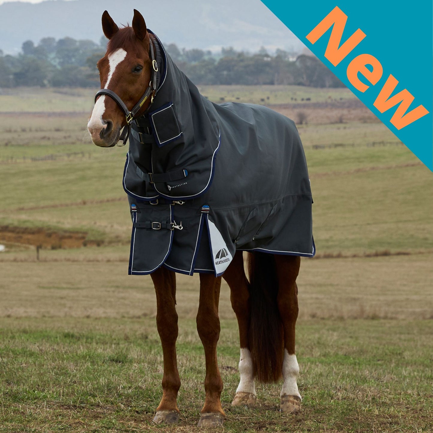 Weatherbeeta ComFiTec Ultra Turnout Detach-A-Neck 220g Charcoal