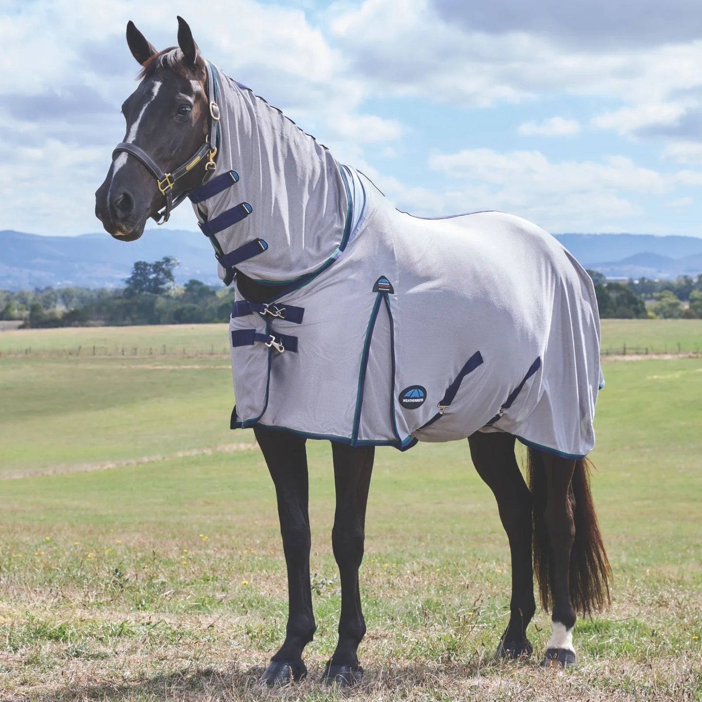 Weatherbeeta ComFiTec Zephyr Fly Sheet Combo Grey/Navy/Forest Green