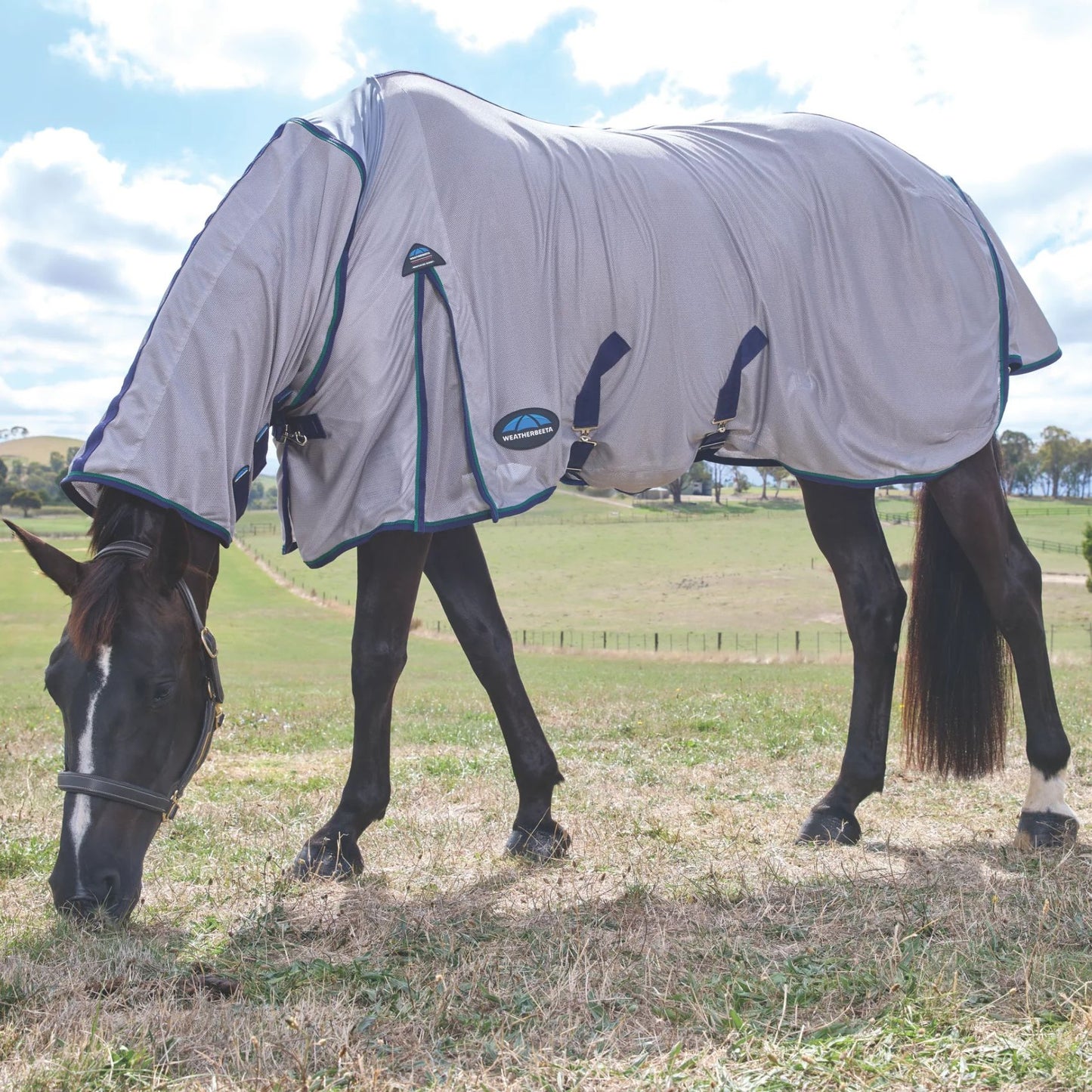 Weatherbeeta ComFiTec Zephyr Fly Sheet Combo Grey/Navy/Forest Green