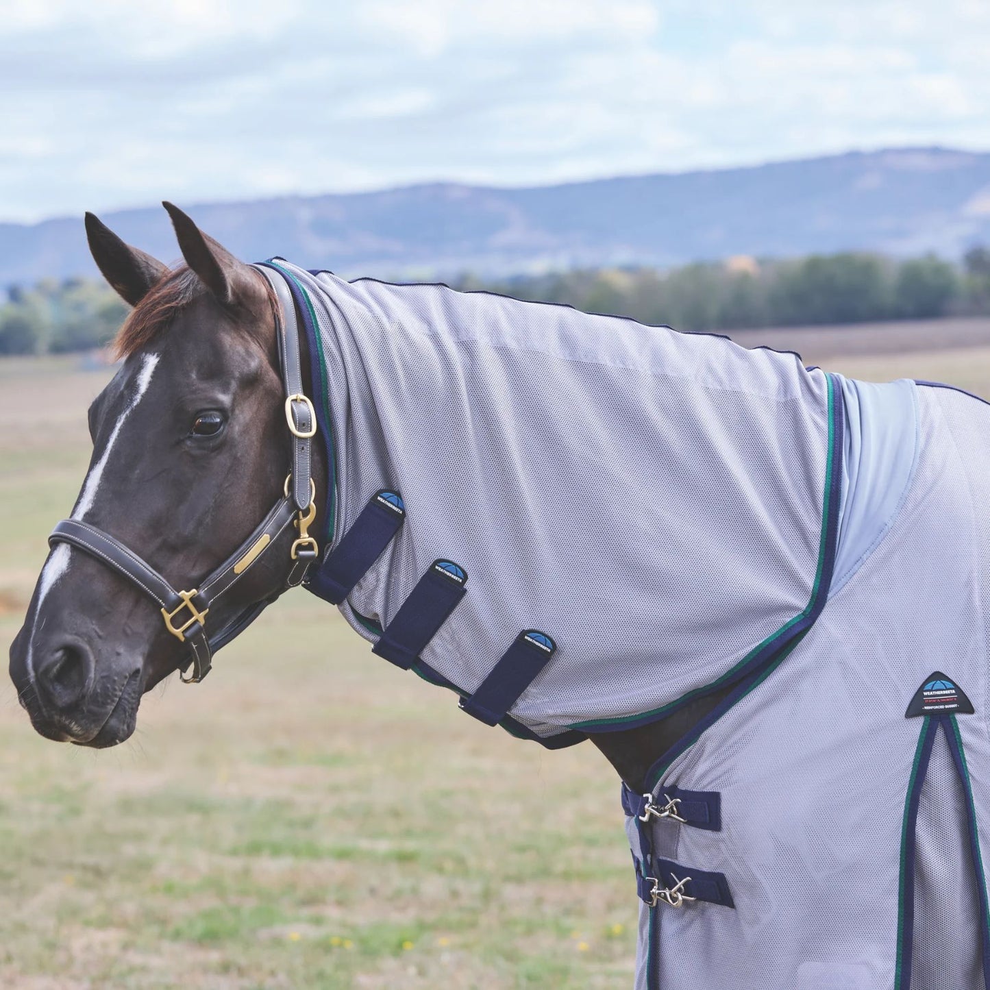 Weatherbeeta ComFiTec Zephyr Fly Sheet Combo Grey/Navy/Forest Green