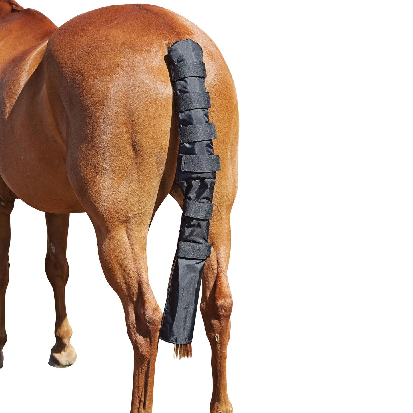 Roma Padded Tail Wrap With Bag