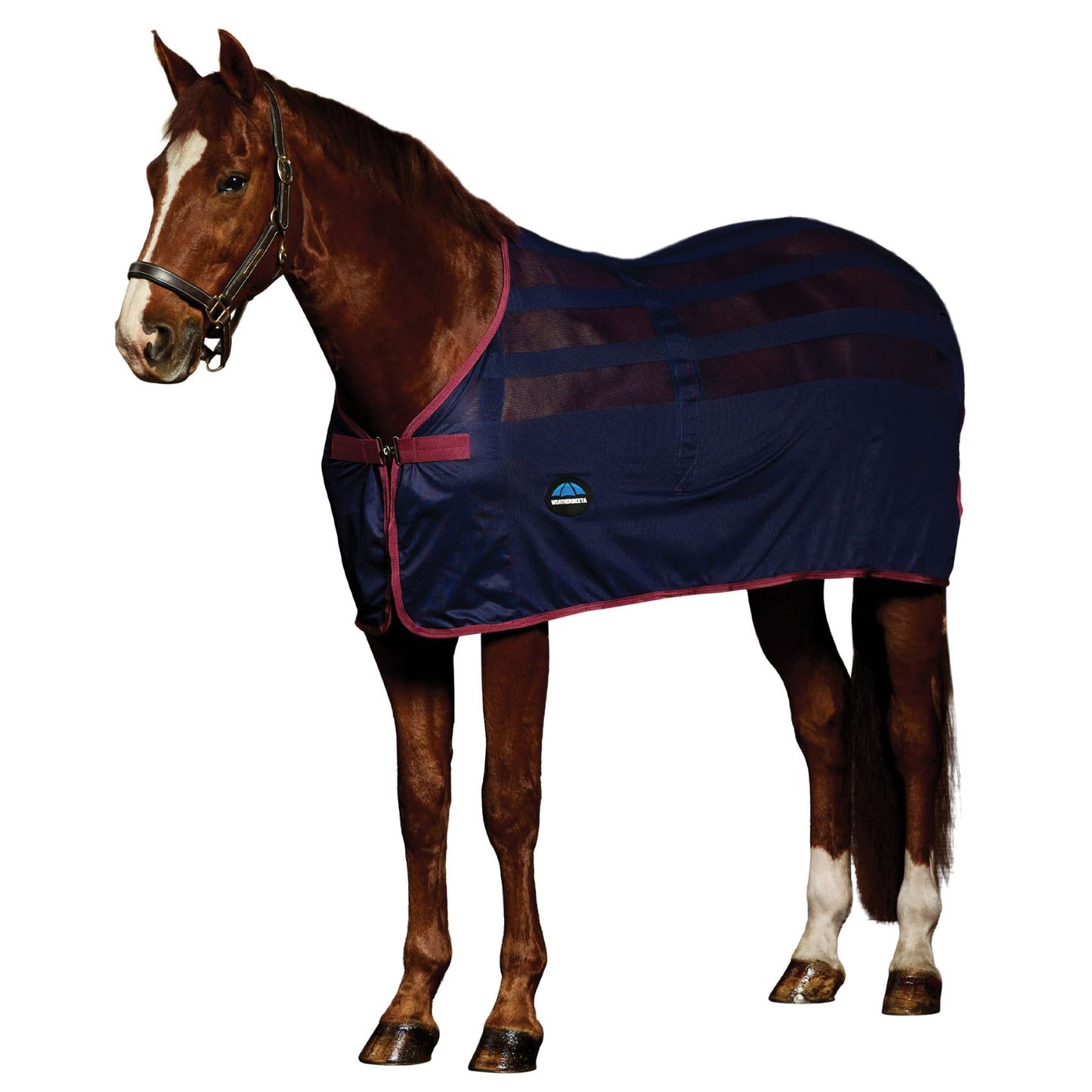 Weatherbeeta Scrim Cooler Navy/Burgundy