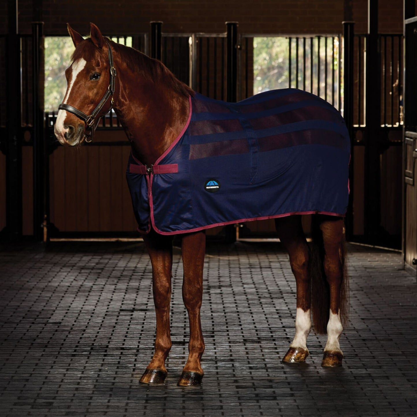 Weatherbeeta Scrim Cooler Navy/Burgundy