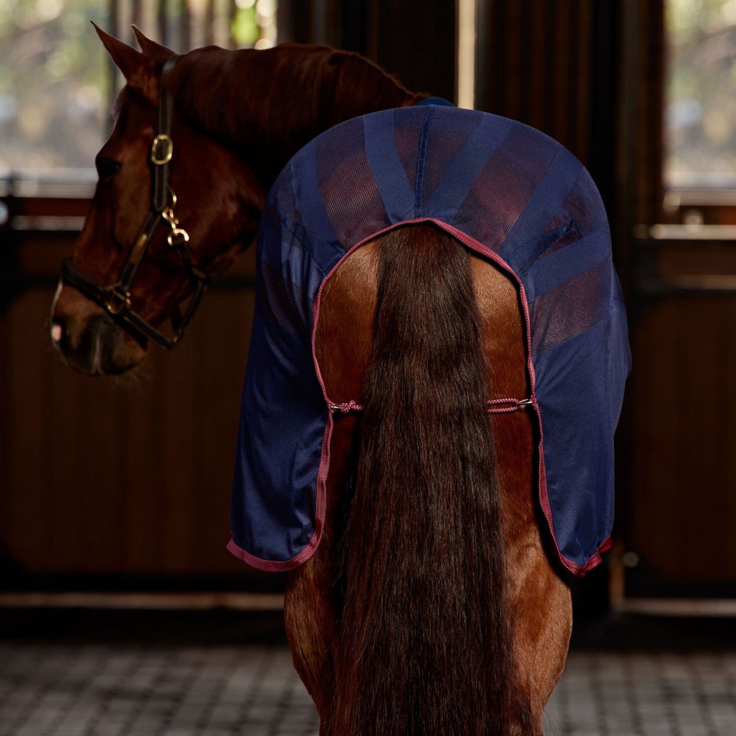 Weatherbeeta Scrim Cooler Navy/Burgundy